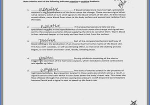 Skin and Temperature Control Worksheet Answers Along with Homeostasis Questions and Answers Pdf Table Description Responding