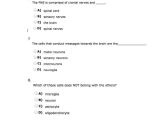 Skin and Temperature Control Worksheet Answers and Anatomygarciawestern [licensed for Non Mercial Use Only