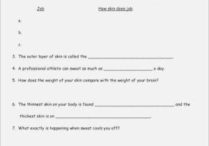 Skin and Temperature Control Worksheet Answers together with Gemütlich Anatomy and Physiology Skin Worksheet Galerie