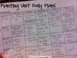 Social Skills Worksheets for Autism Along with Spring & Planting Unit the Autism Helper