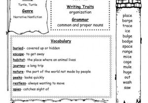 Social Skills Worksheets for Middle School or Kids Free Printable social Skills Worksheets Worksheet
