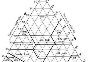 Soil Texture Triangle Worksheet and soil Position and formation