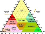Soil Texture Triangle Worksheet or 41 Best Plant Physiology Images On Pinterest