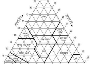 Soil Texture Triangle Worksheet together with Triddlers Puzzle 7 Aladdin S Lamp Triddlers Puzzles