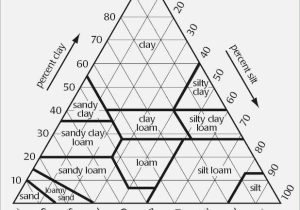 Soil Texture Triangle Worksheet with soil Texture Worksheet Image Collections Worksheet Math for Kids