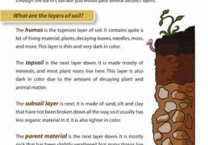 Soil Texture Worksheet Answers Also Layers Of soil