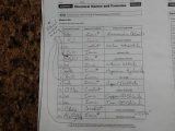 Solving Systems Of Equations by Graphing Worksheet with Half Life Radioactive isotopes Worksheet Answers Chapter