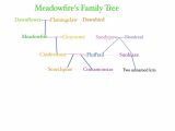 Spanish Family Tree Worksheet Answers Along with Meadows Family Crest Bing Images