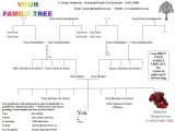 Spanish Family Tree Worksheet Answers as Well as Beatiful Tree the Beautiful Tree Part 3727