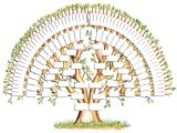 Spanish Family Tree Worksheet Answers as Well as soy Aac Uygulamas Artk Kesintisiz Olarak Devrede Bigmo