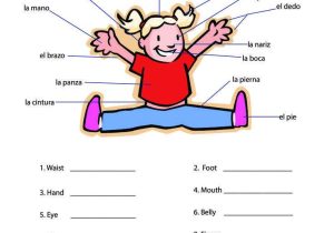 Spanish Family Tree Worksheet as Well as 27 Best Spanish Worksheets Level 1 Images On Pinterest