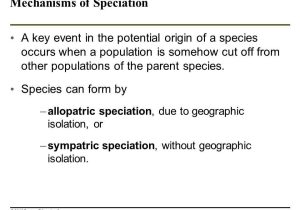Speciation and Extinction Worksheet Answers Also How Biological Diversity Evolves Ppt