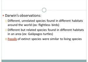 Speciation and Extinction Worksheet Answers together with Unit 8—evolution & Classification Chapters 16 – Ppt