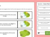 Speciation Worksheet Answers Along with Speciation Sequencing Cards Easy as 1 2 3