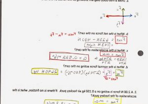 Speed and Velocity Worksheet Answer Key with Physics Vector Worksheet with Answers