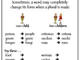Spelling Rules Worksheets with 199 Best Phonics Spelling and Plurals Rules Images On Pinterest