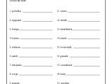 Spelling Word Worksheets with Spelling Worksheet What S Wrong and What S Right