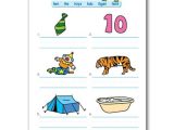 Spelling Worksheets for Grade 1 as Well as Bless their Hearts Mom Educational Book Review and