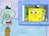 Spongebob Genotype Worksheet Answers Along with Squidward Cooking Bing Images