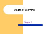 Stages Of Change In Recovery Worksheets and Ppt Stages Of Learning Powerpoint Presentation Id