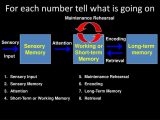 Stages Of Change In Recovery Worksheets as Well as Describe the Stages Of Memory Bing Images