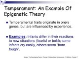 Stages Of Change In Recovery Worksheets as Well as Examples Of Epigenetic theory Bing Images