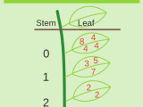 Stem and Leaf Plot Worksheet Pdf Along with Stem and Leaf Plots