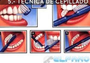 Steps to Brushing Your Teeth Worksheet Also Miriam Sisa Chenche by Johy Th87