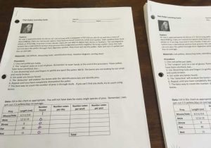 Stoichiometry Review Worksheet Answers Along with Dissecting Owl Pellets Worksheet Worksheet Math for
