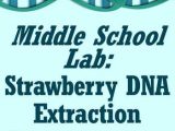 Strawberry Dna Extraction Lab Worksheet Also Dna for Kids Teaching Resources