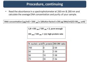 Strawberry Dna Extraction Lab Worksheet Also Extraction and Quantitation Of Dna From E Coli Ppt Video Online