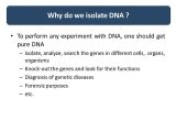 Strawberry Dna Extraction Lab Worksheet and Extraction and Quantitation Of Dna From E Coli Ppt Video Online