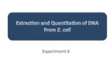 Strawberry Dna Extraction Lab Worksheet as Well as Extraction and Quantitation Of Dna From E Coli Ppt Video Online