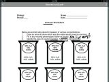 Stress Worksheets for Middle School with Osmosis Worksheet Answer Key the Best Worksheets Image Colle