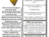 Study Skills Worksheets Middle School as Well as 49 Best Homework Ideas & Study Skills Images On Pinterest