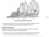 Succession Worksheet Answers Also Modern Ecological Succession Worksheet Elegant 24 Beautiful Graph