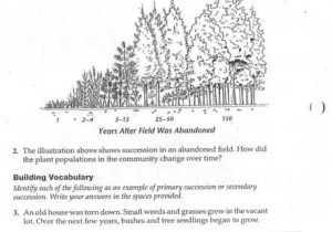 Succession Worksheet Answers Also Modern Ecological Succession Worksheet Elegant 24 Beautiful Graph