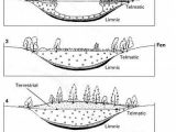 Succession Worksheet Answers or 12 Best Plant Ecological Succession Images On Pinterest