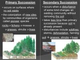 Succession Worksheet Answers with Worksheets 47 Unique Ecological Succession Worksheet Answers High