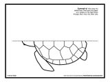 Symmetry Worksheets for High School with 85 Best Symetria Images On Pinterest