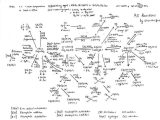 Synthesis Reaction Worksheet Along with 7 Best organic Survival Guide Images On Pinterest