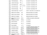 Synthesis Reaction Worksheet together with 33 Best orgo Cheat Sheets Tutorials and Reference Material Images