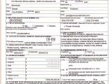 Tax form 982 Insolvency Worksheet or Iron Mountain Mine