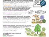Taxonomy Worksheet Biology Answers Along with Classification Of Living Things Find This On Exploringnature