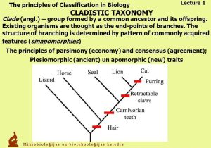 Taxonomy Worksheet Biology Answers Along with Taxonomy Worksheet Biology Answers Unique Basic Cell Biology I