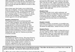 Taxonomy Worksheet Biology Answers as Well as 33 New Taxonomy Worksheet Biology Answers