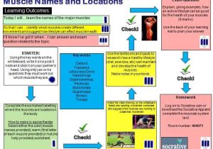 Taxonomy Worksheet Biology Answers or 309 Best solo Taxonomy Heath Pe Images On Pinterest