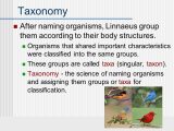 Taxonomy Worksheet Biology Answers together with 33 New Taxonomy Worksheet Biology Answers