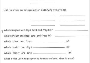 Taxonomy Worksheet Biology Answers with Taxonomy Worksheet Biology Answers Inspirational Evolution and the
