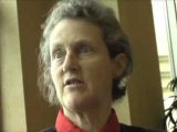 Temple Grandin Movie Worksheet together with 86 Best Temple Grandin Images On Pinterest